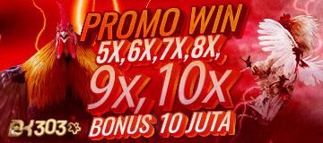 DK303 promo